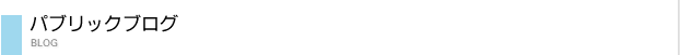 パブリックブログ