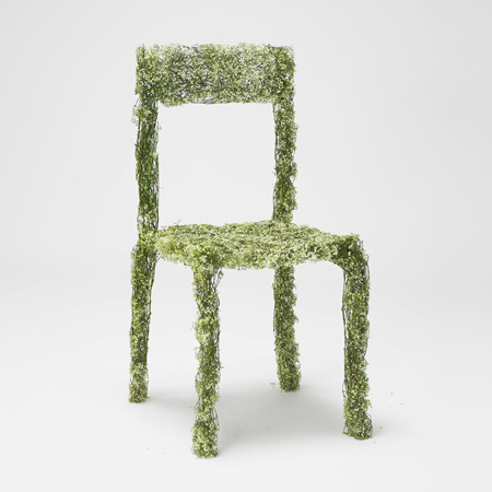 dzn_Harvest by Asif Kahn