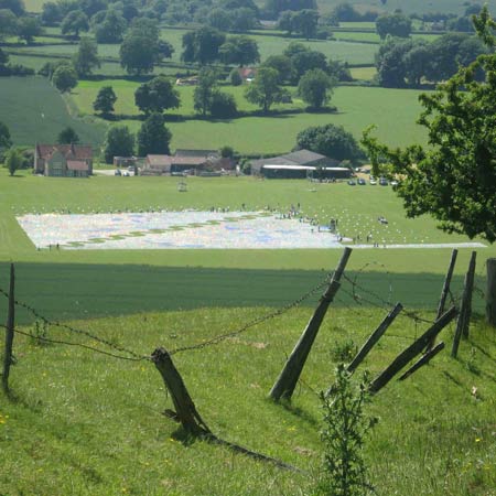 CD Sea by Bruce Munro CD Sea by Bruce Munro