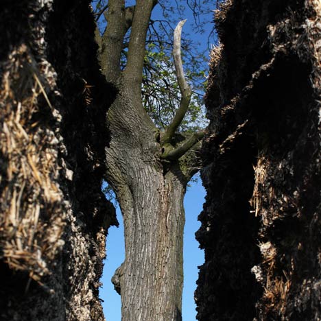 The Cross-Gate by Ivo Pavlik The Cross-Gate by Ivo Pavlik