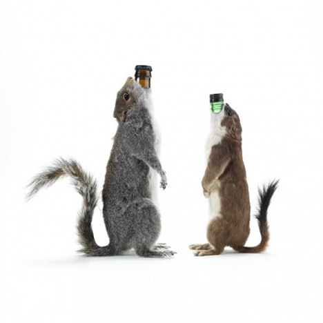 The End of History by Brew Dog The End of History by Brew Dog