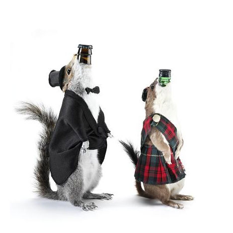 The End of History by BrewDog The End of History by BrewDog