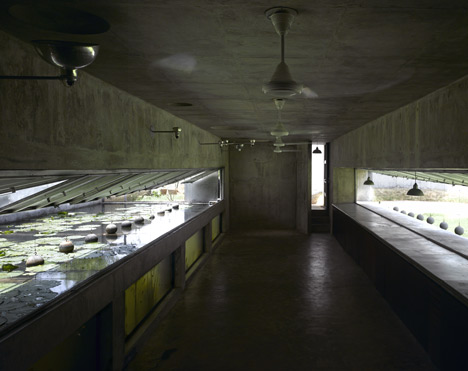 The House with Balls by Matharoo Associates The House with Balls by Matharoo Associates