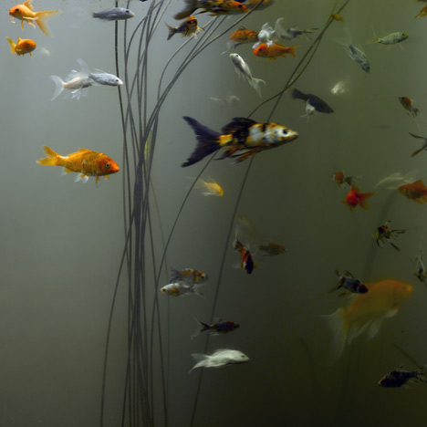 The House with Balls by Matharoo Associates The House with Balls by Matharoo Associates